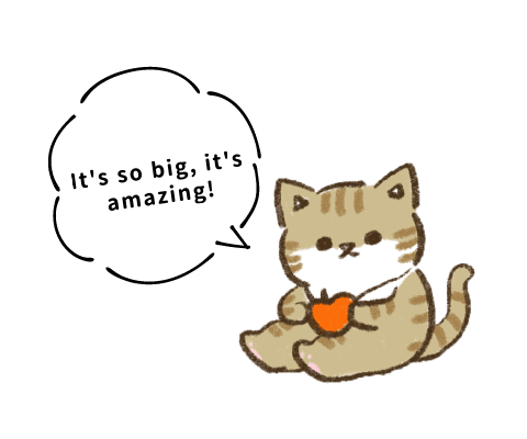 It's so big, it's amazing!
