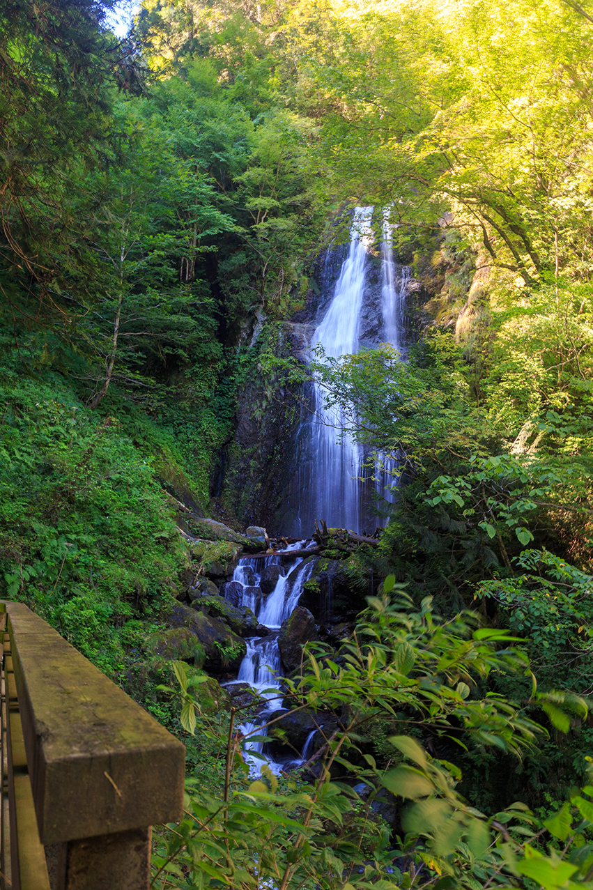 Mikaeri-no-taki Waterfall, a wonderful picture composed of the greenish surrounding and the shining flow of water.