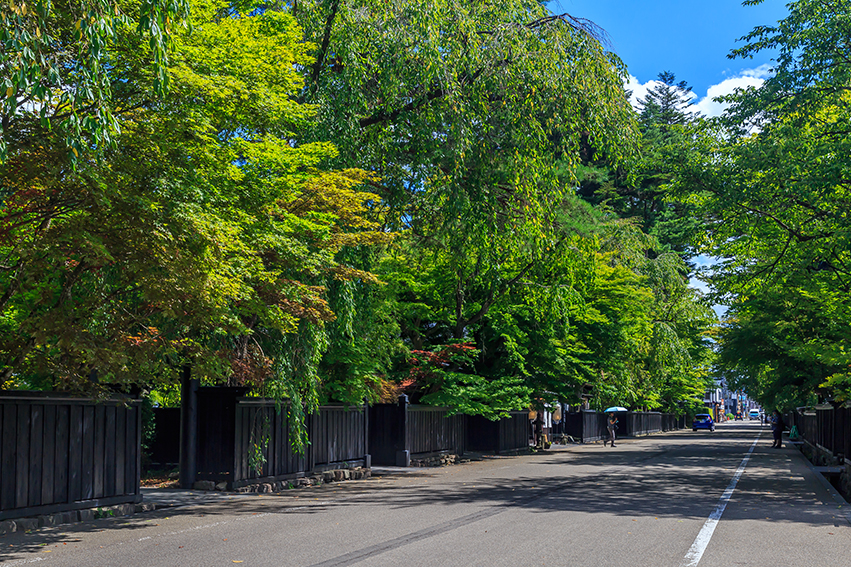 Samurai Residences, street of traditional architecture