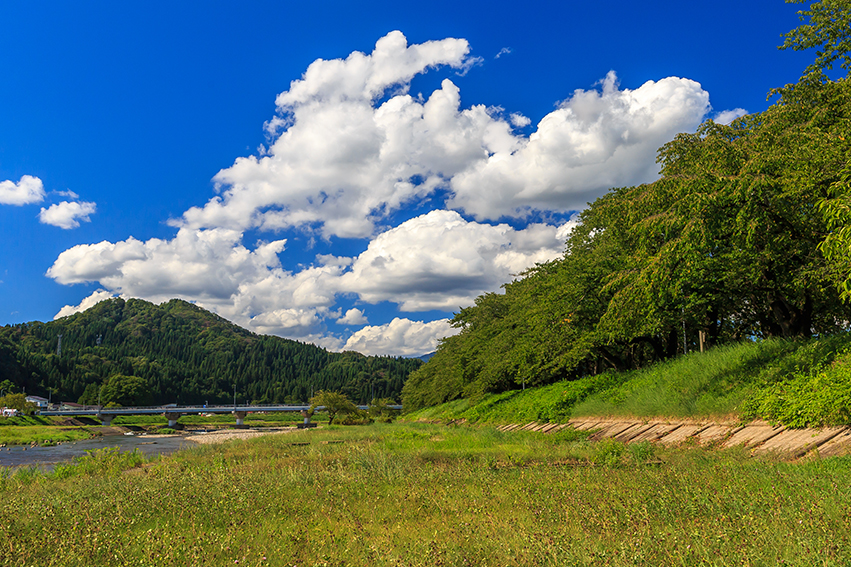 Hinokinaigawa-Tsutsumi Park, along the banks of the Hinokinaigawa River.