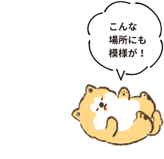 こんな場所にも模様が！