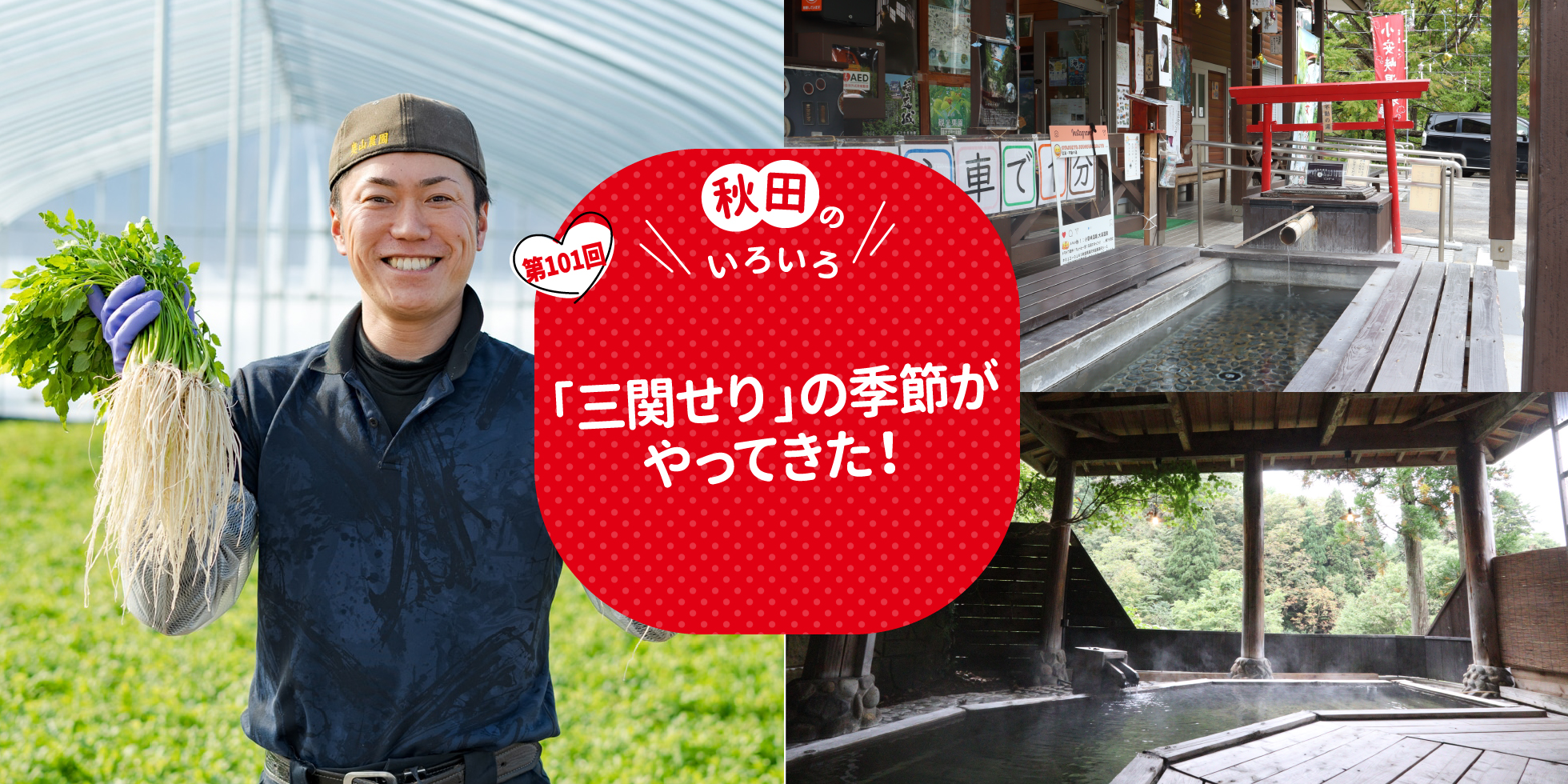 「リゾートしらかみ」で行く、秋の津軽