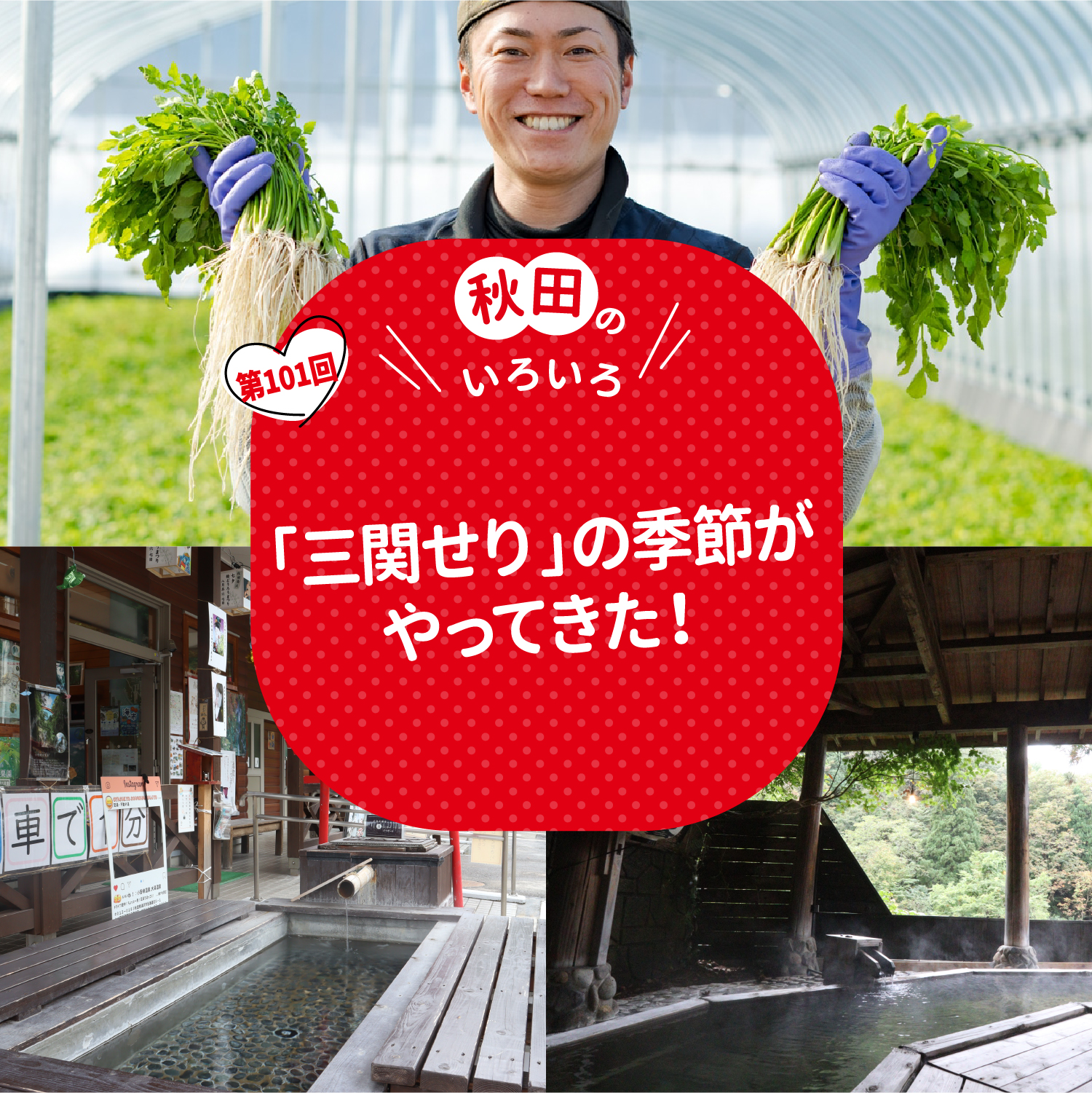 「リゾートしらかみ」で行く、秋の津軽