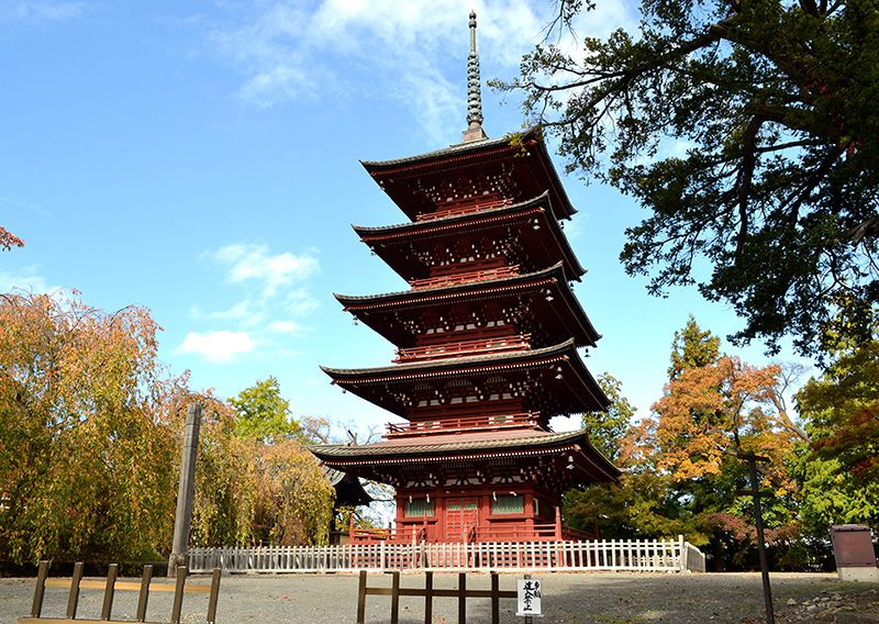 金剛山 光明寺 最勝院り