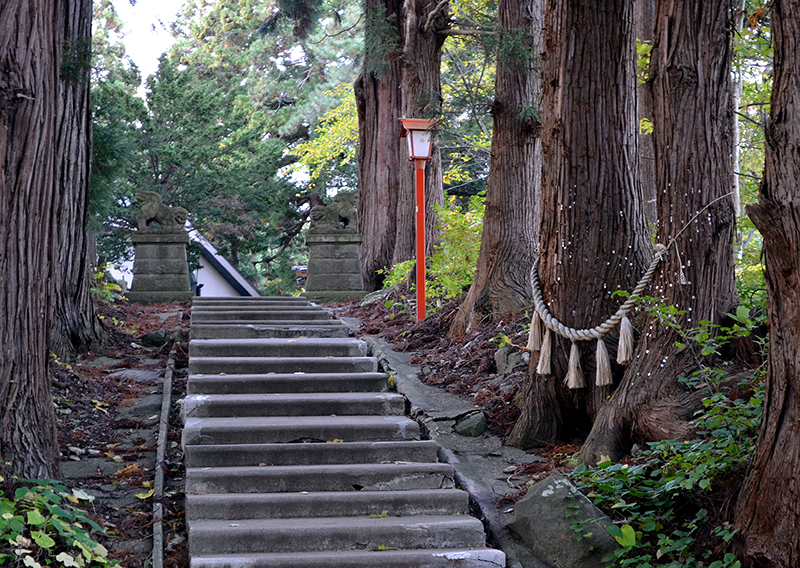 求聞寺