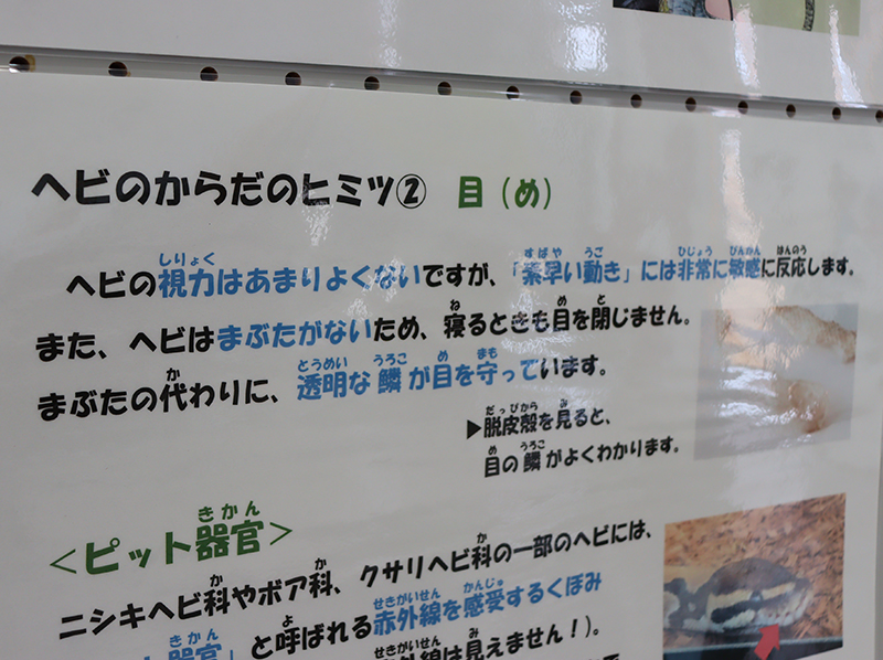 掲示物