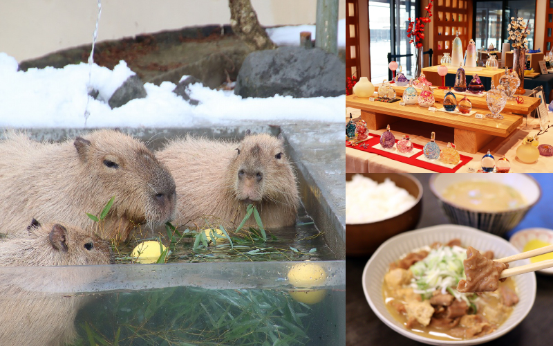 冬の風物詩「雪の動物園」と周辺スポットを巡る