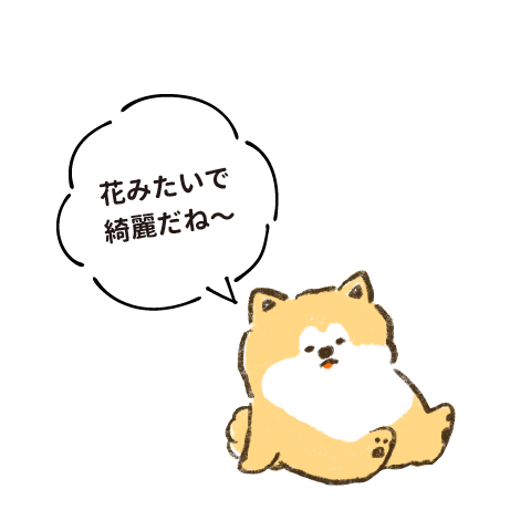 花みたいで綺麗だね〜