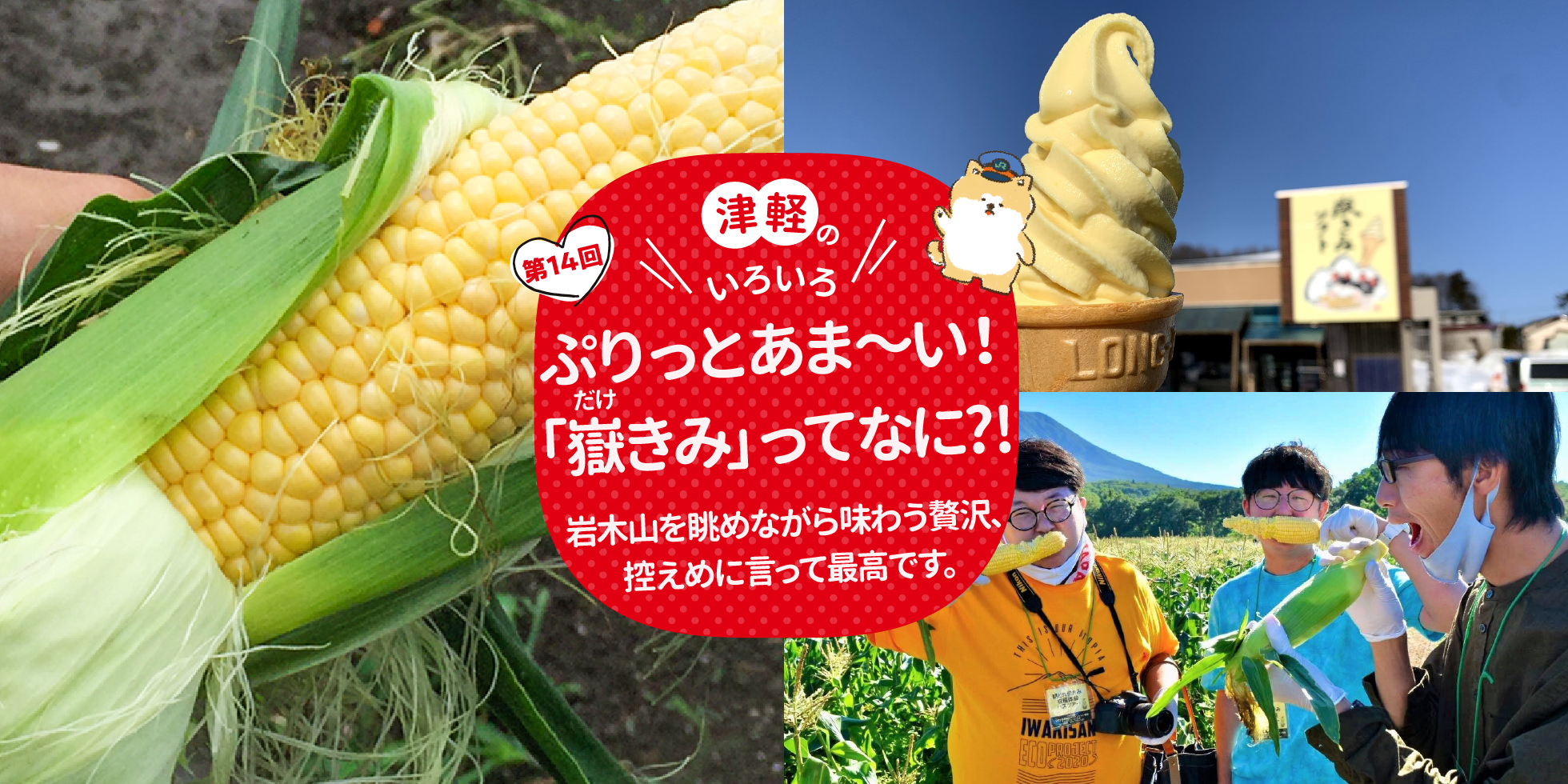 ぷりっとあま～い！「嶽きみ」（だけきみ）ってなに！？岩木山を眺めながら味わう贅沢、控えめに言って最高です。