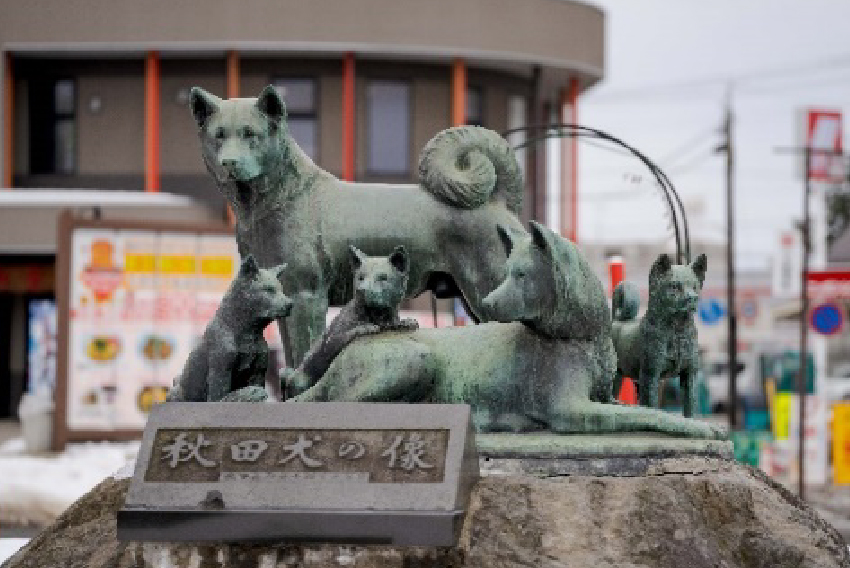秋田犬のモチーフ