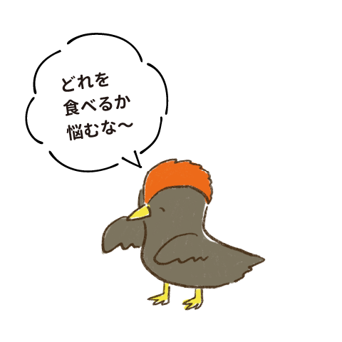 どれを食べるか悩むな〜