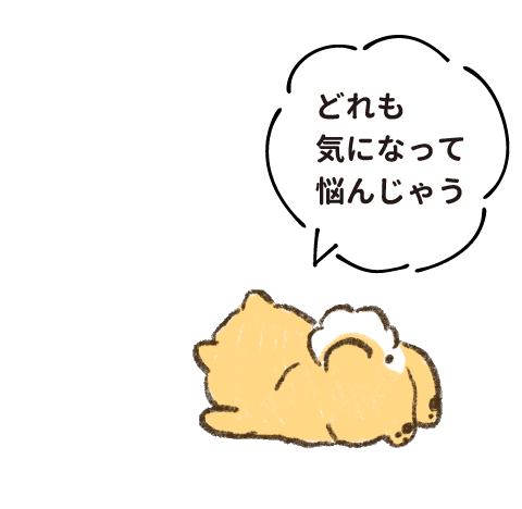 どれも気になって悩んじゃう