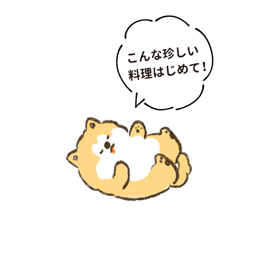 こんな珍しい料理はじめて！