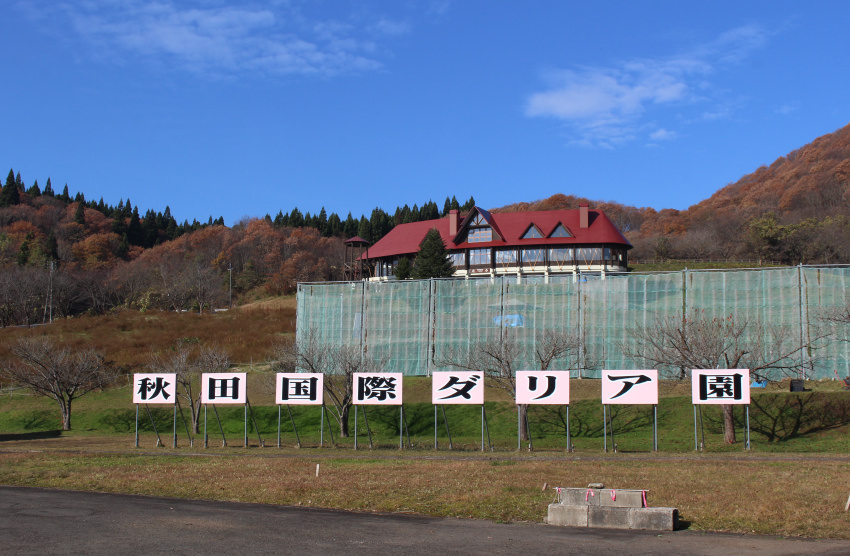 秋田国際ダリア園