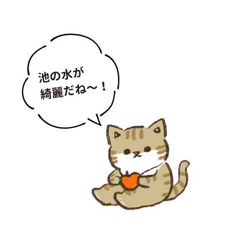 池の水が綺麗だね〜！