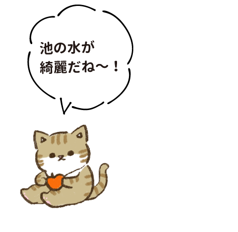池の水が綺麗だね〜！