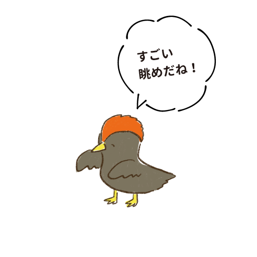 すごい眺めだね！