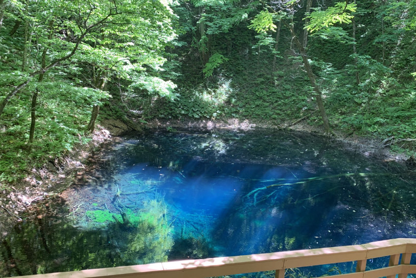 青池