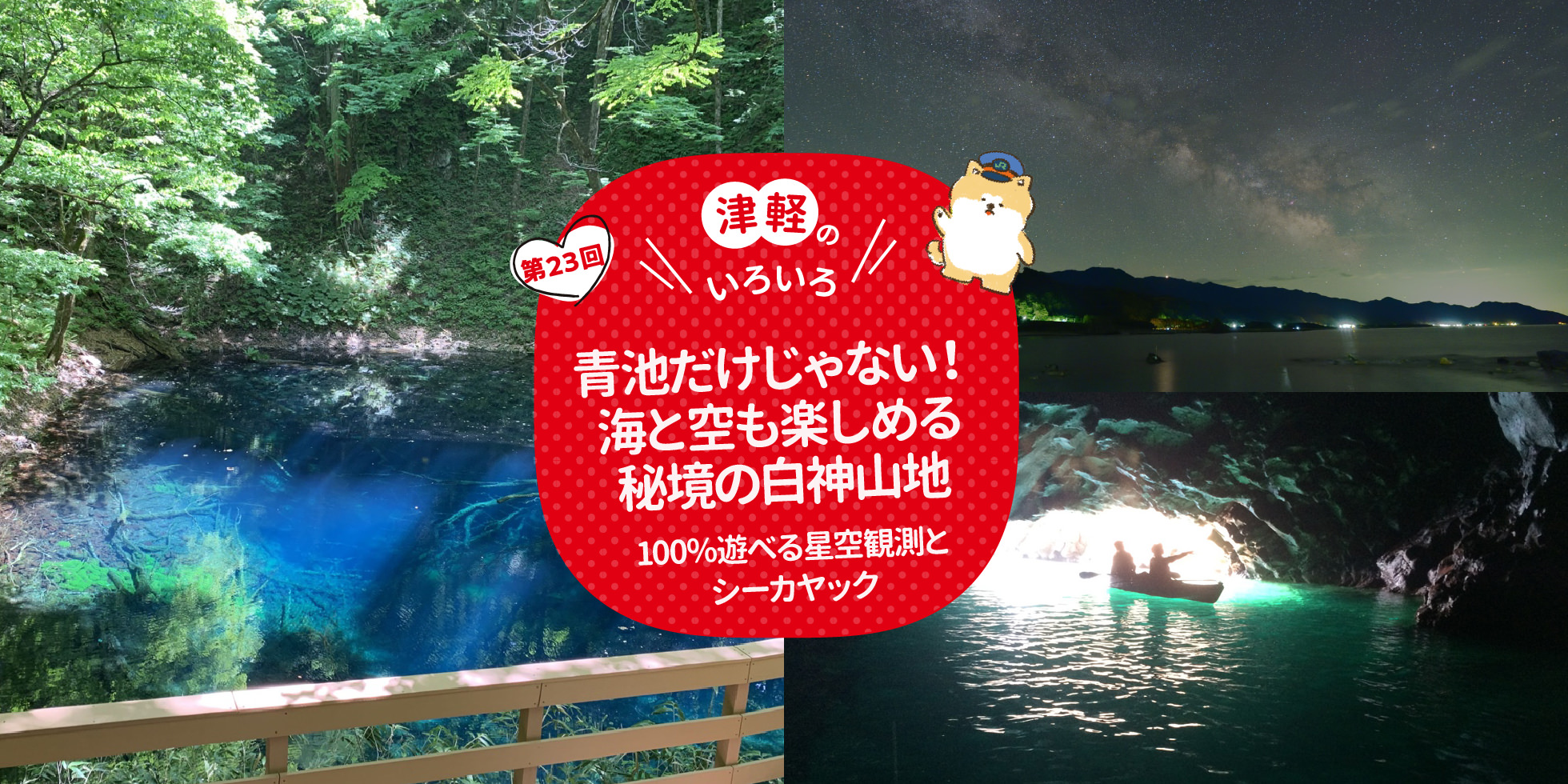 津軽のいろいろ 青池だけじゃない！海と空も楽しめる秘境の白神山地 100％遊べる星空観測とシーカヤック
