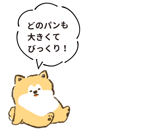 どのパンも大きくてびっくり!
