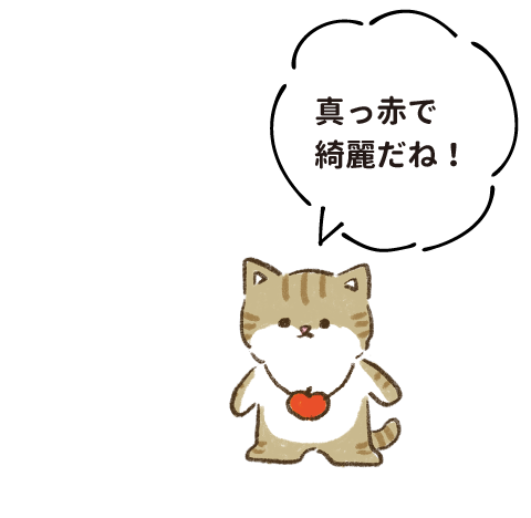 真っ赤で綺麗だね！