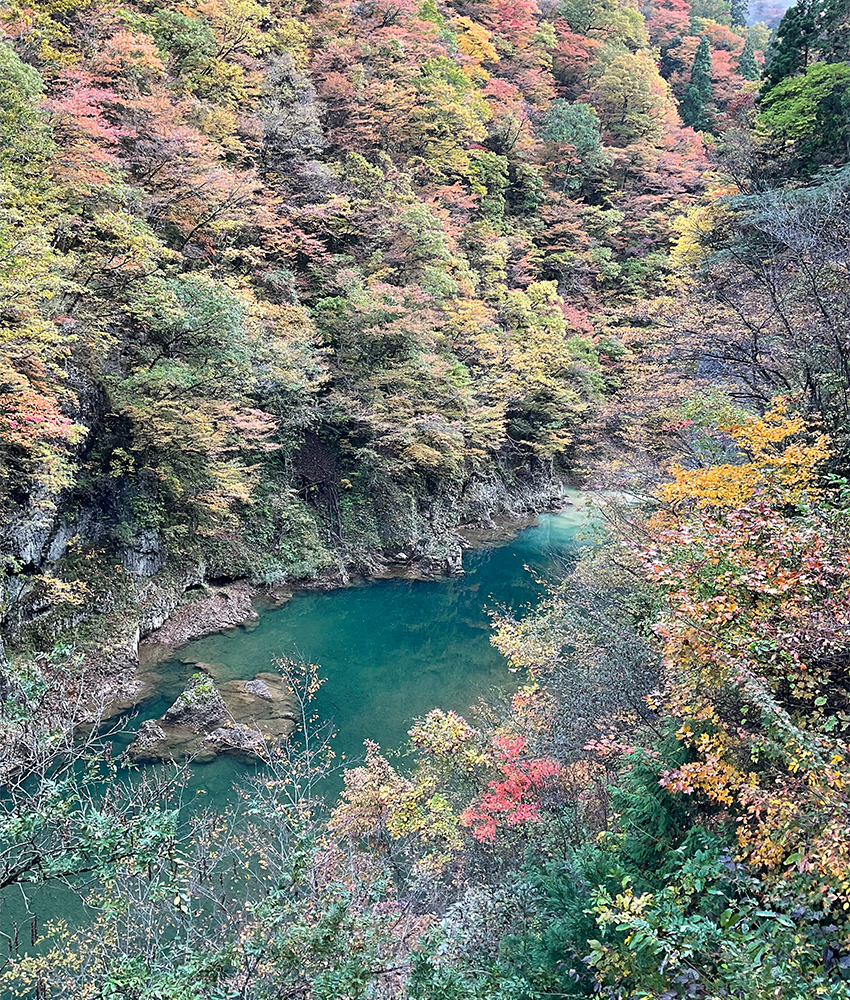 誓願寺