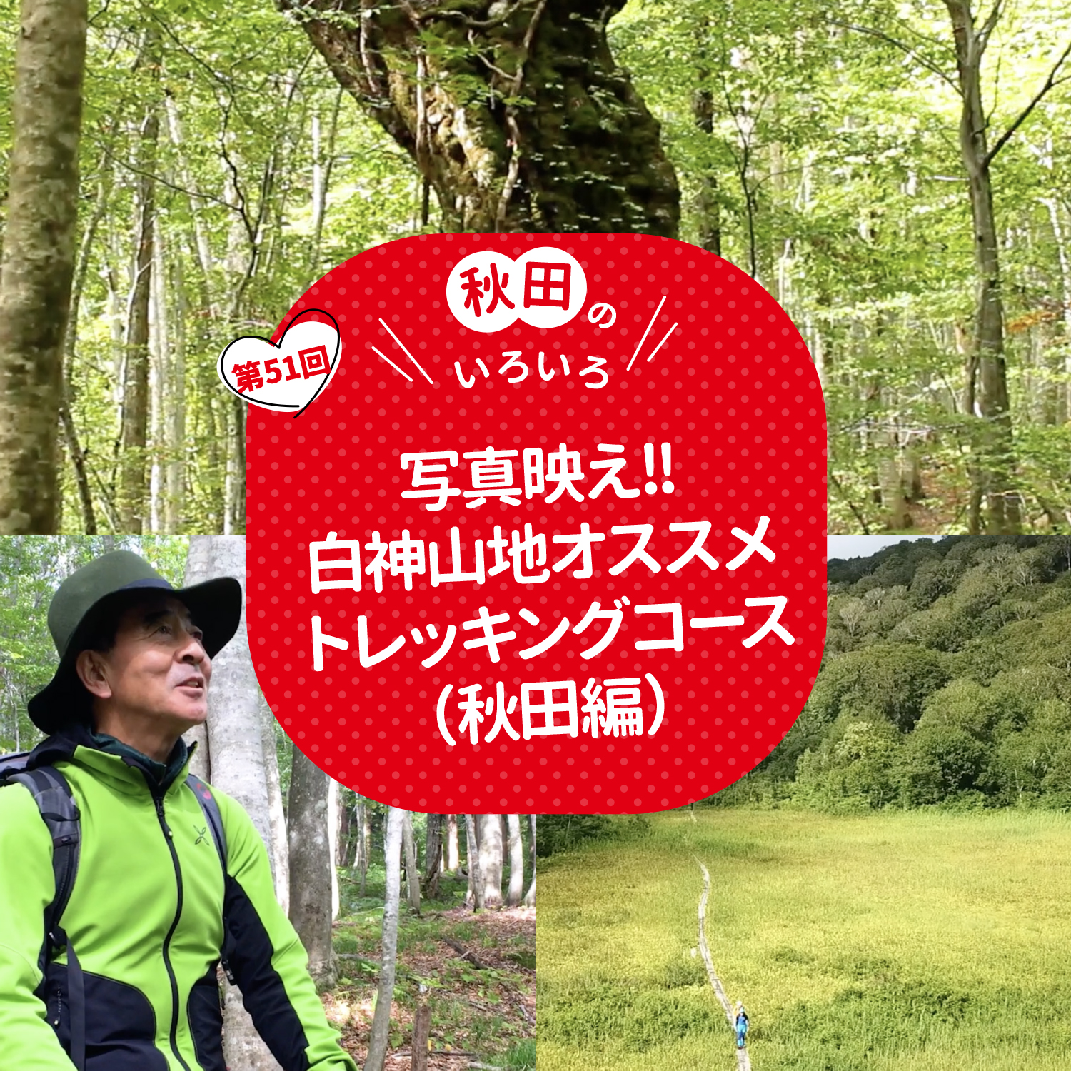 写真映え！！白神山地オススメトレッキングコース（秋田編）