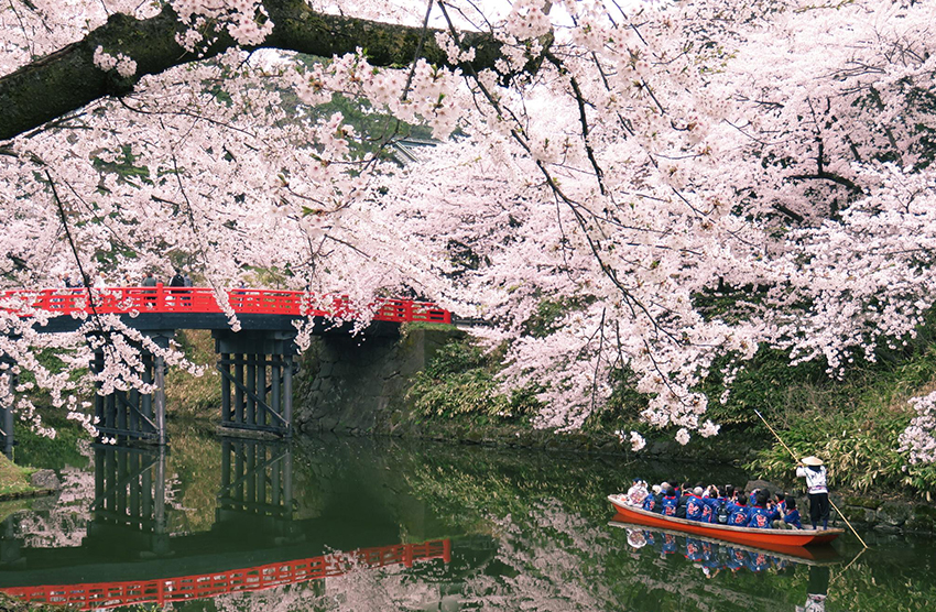 山海堂