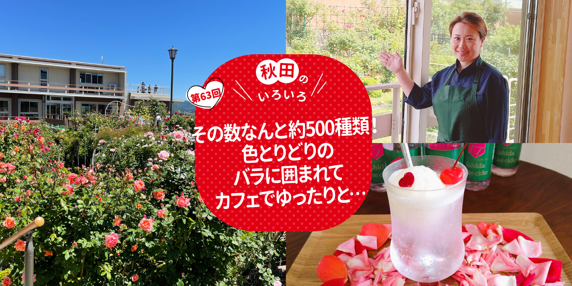 その数なんと約500種類！色とりどりのバラに囲まれてカフェでゆったりと…