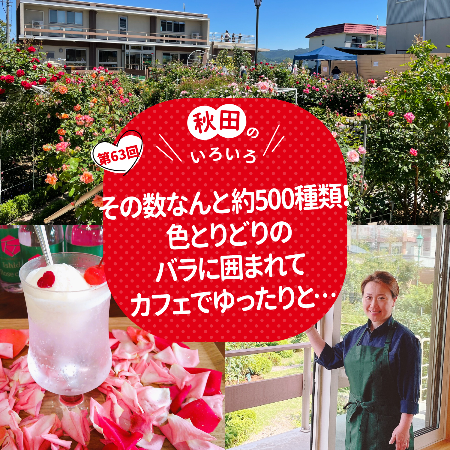 その数なんと約500種類！色とりどりのバラに囲まれてカフェでゆったりと…