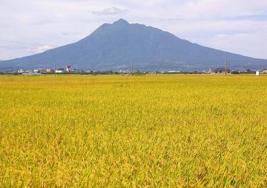 田園地帯