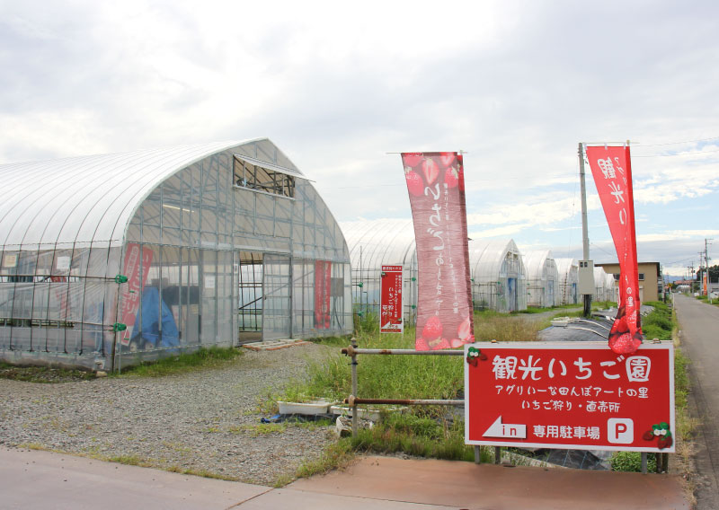 観光いちご園 アグリいーな田んぼアートの里
