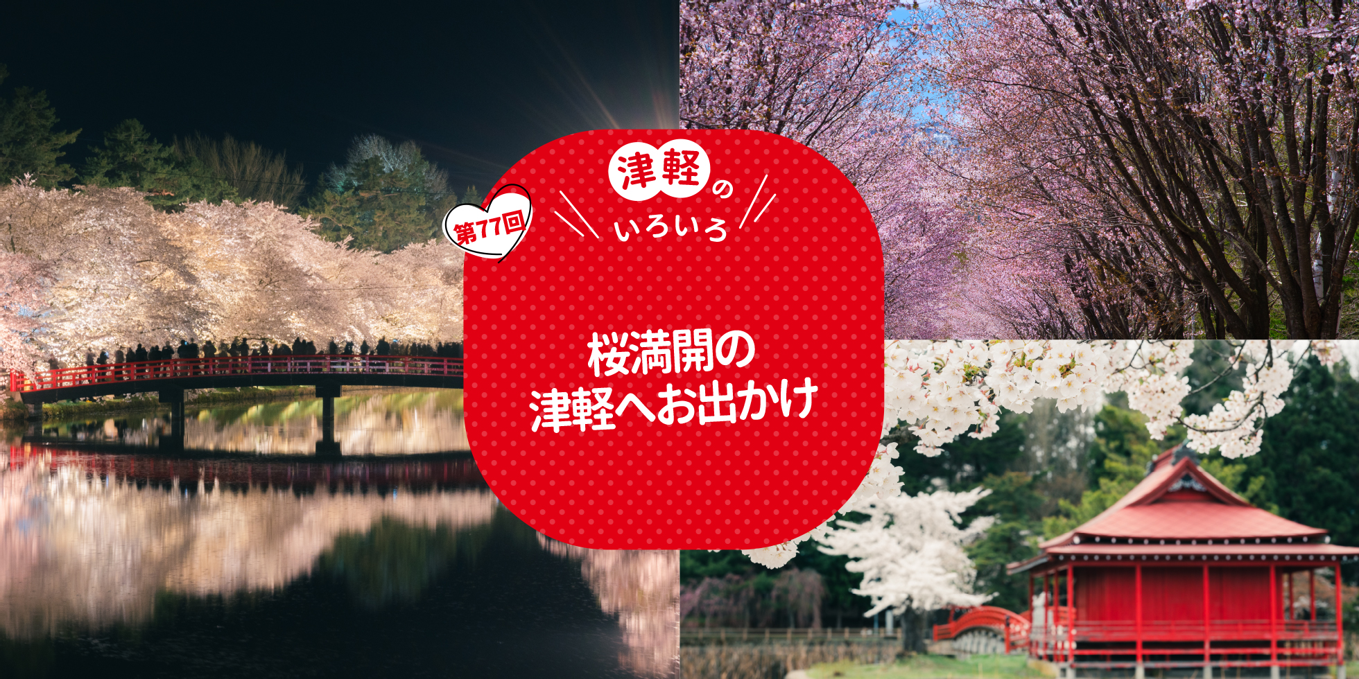 桜満開の津軽へお出かけ