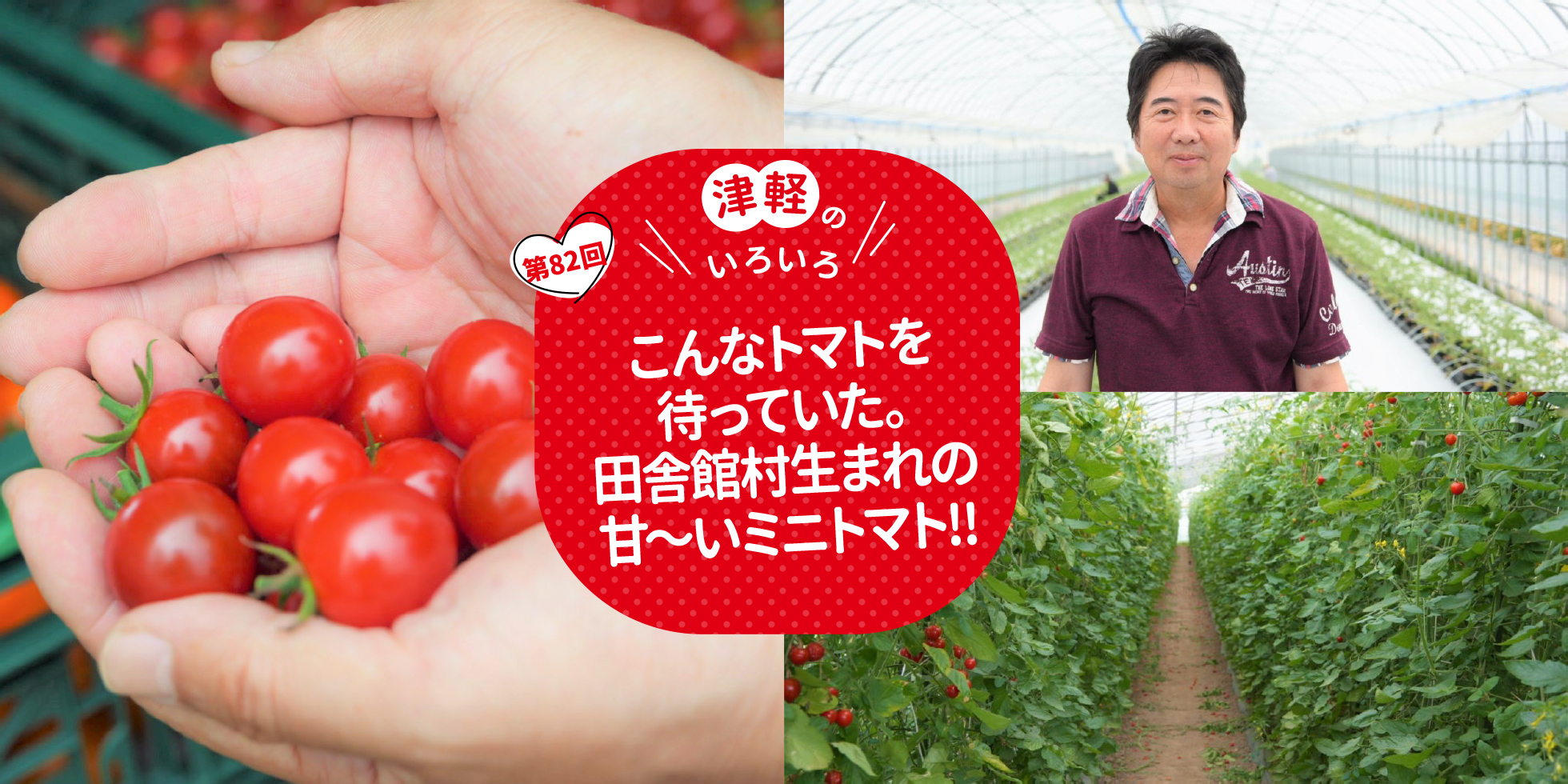 こんなトマトを待っていた。田舎館村生まれの甘～いミニトマト！！