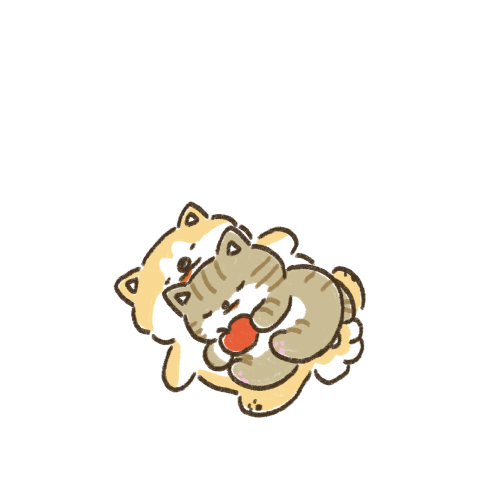 あきおとつがにゃん
