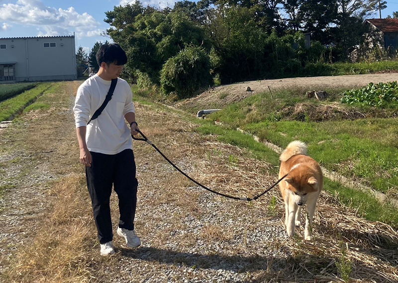 農道での散歩