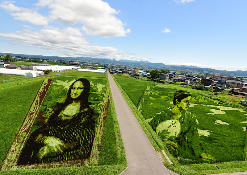 田んぼアート