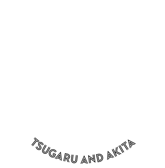 Zekkei Matching