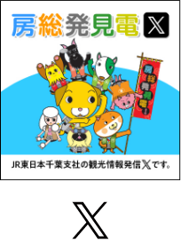 房総発見電X