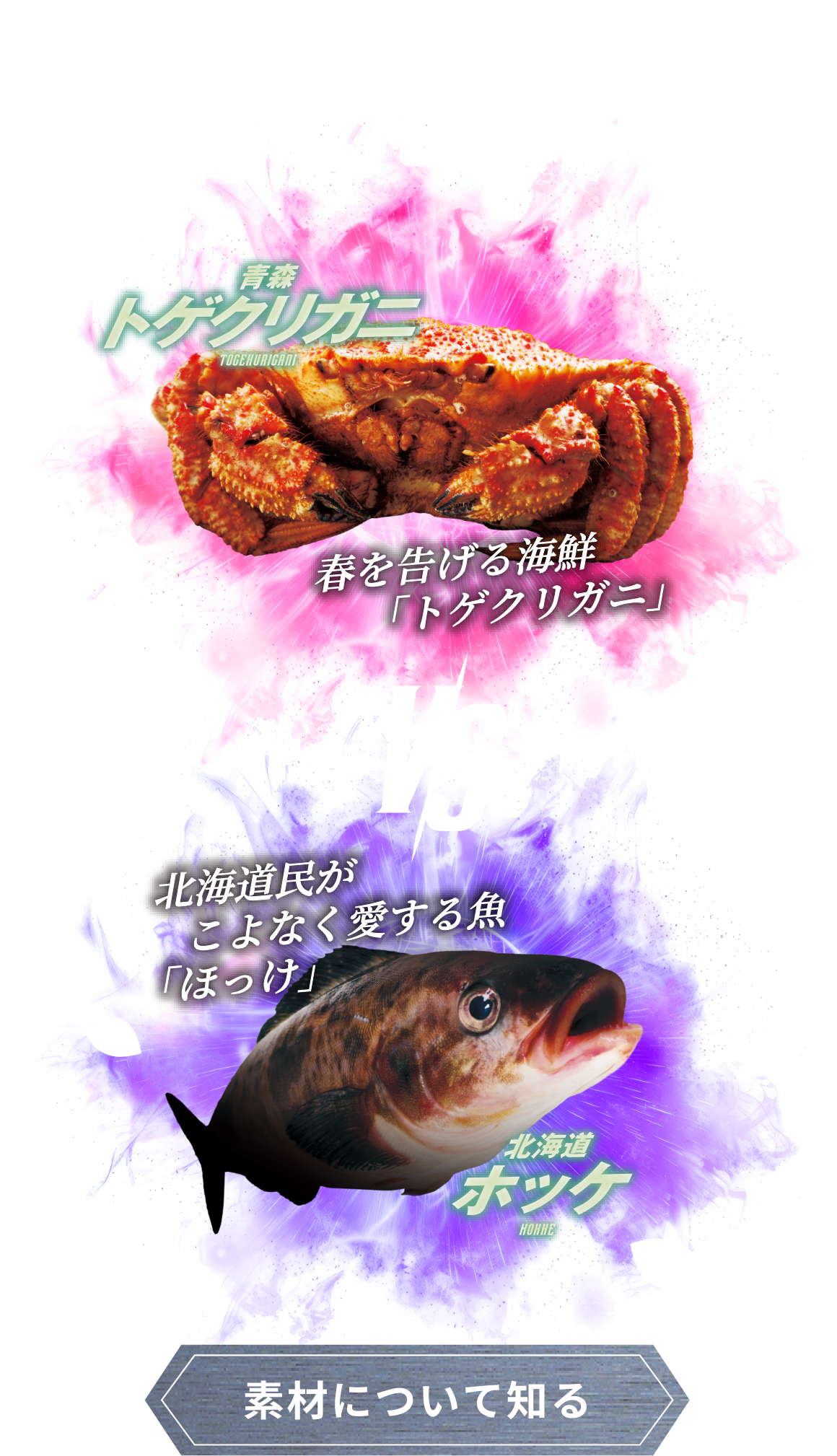 -2023-SPRING EPISODE.3 青森 トゲクリガニ TOGEKURICANI VS 北海道 ホッケ HOKKE。 素材について知る