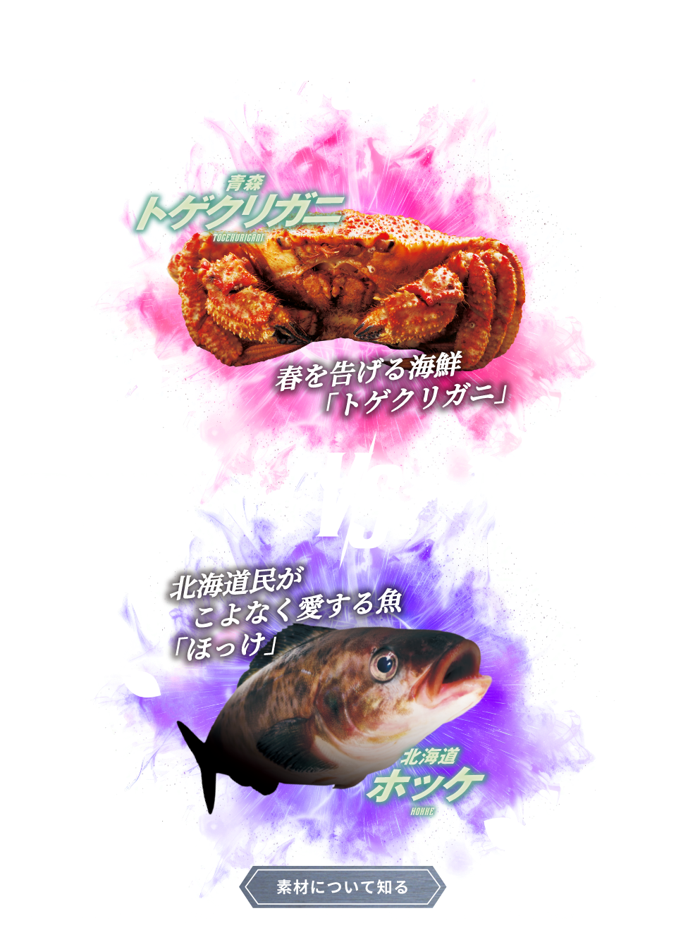 -2023-SPRING EPISODE.3 青森 トゲクリガニ TOGEKURICANI VS 北海道 ホッケ HOKKE。 素材について知る