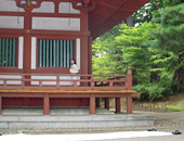 毛越寺の写真