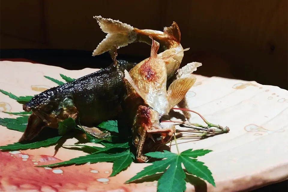 イメージ：料理