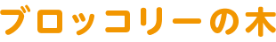ブロッコリーの木