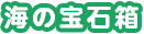 海の宝石箱