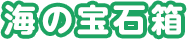 海の宝石箱