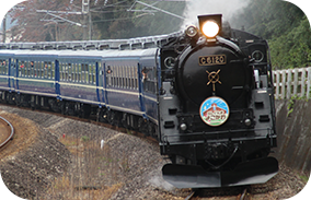 C6120