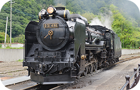 D51498