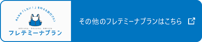 その他のフレテミーナプランはこちら