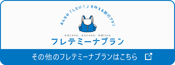 その他のフレテミーナプランはこちら